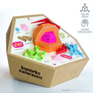 Zestaw kreatywny -  Model komórki zwierzęcej